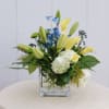 BLUE, CREAM AND WHITE