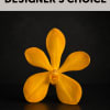 Our Designer&rsquo;s Choice arrangement is a one-of-a-kind floral creation thoughtfully designed with
