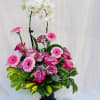 Beautiful arrangement featuring white orchids, fuchsia roses, carnations, pink gerbera daisies, and