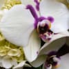 White orchids with purple centers in a floral arrangement