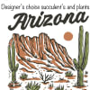 Illustrated Arizona desert scene with cacti and a mountain
