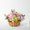  Pet Friendly?
No &mdash; Lilies are known to be toxic to cats