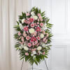 Pet Friendly?
No - This arrangement contains Stargazer Lilies, which are highly