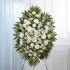  Pet Friendly?
No - This arrangement contains Chrysanthemums (Mums and Daisies), which