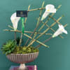 White calla lilies in a decorative pedestal bowl with succulents and bamboo stems