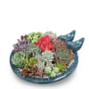 A whimsical bird-shaped ceramic dish filled with a variety of succulents makes