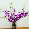 10 stems of beautiful Purple Dendrobium orchids artfully arranged in a vase.