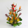 This arrangement will bring you back to the Pacific coast of Mexico