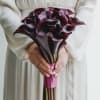 Bouquet of dark purple calla lilies held in both hands