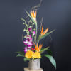 A tropical arrangement with birds of paradise and orchids to give a