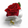 Designer's choice; made beautifully from my red and white blossom selection of