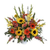Large mixed bouquet with sunflowers, gerbera daisies, roses, and yellow gladiolus in a vase