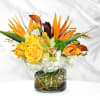 Tropical bouquet with orange bird of paradise and yellow roses in a glass vase