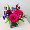 Bursting with bright and bold shades of purple, pink, blue and green
