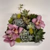 A beautiful array of succulents planted in a square ceramic container. Embellished