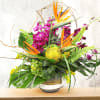 Tropical floral arrangement with orange bird-of-paradise and purple orchids in a vase