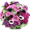 Get swept away into the soft tones of violet and richer tones