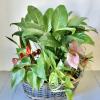 Assorted green and pink houseplants arranged in a low woven basket