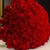 Large bouquet of red roses