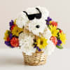 Flower basket arranged as a white dog with sunglasses