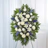  Pet Friendly?
No - This arrangement is not pet-friendly due to the