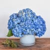 Compact arrangement of blue hydrangeas in a white glass vase on a wooden surface