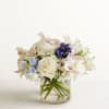 Pet Friendly? 
NO . While roses are safe, Delphinium and Alstroemeria can
