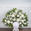 Pet Friendly?
No - This arrangement contains mums (chrysanthemums) and daisies, which are