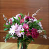 daisy and alstro designed with a special touch 