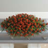  Pet Friendly?
NO . Red  carnations are common, they can cause