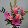 Quench your favorite pink lover's need for all things pink! Featuring spectacular