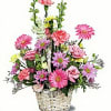  Pet Friendly?
No . Daisies, roses, carnations, and stock are generally low-risk