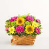  Pet Friendly?
No This arrangement contains Fuji Mums and Asters, which are