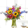  Pet Friendly?
NO
Use Caution &mdash; contains Delphinium, which can be toxic to