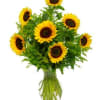  Pet Friendly?
Yes
Sunflowers are considered non-toxic to cats and dogs. Still, keep