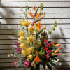 Tall tropical arrangement with yellow orchids and orange blooms in a green leaf-lined glass vase