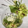 Green orchids arranged in a glass bowl with white flowers and burgundy accents