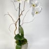 White orchid plant in a round ceramic pot with decorative branches