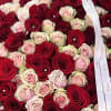 A lush, oversized bouquet of red, pink and white roses creates an