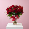 2 "two" DOZEN brilliant red roses nestled in deep green foliage.