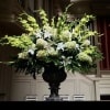 Garden Display for All of Life&rsquo;s Events featuring vibrant green gladiolus-like spikes
