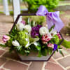 Modern Blooms - Wilmington DE, Local Delivery 

Cool purples and garden brilliance
