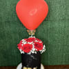 Red heart balloon above a box of red roses and chocolates