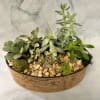 Succulent arrangement in a shallow round planter with pebbles
