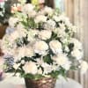 All-White Sympathy Basket Description

A serene and graceful tribute, this all-white sympathy basket