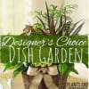 Mixed potted plants in a wicker basket with a burlap bow