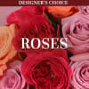 Close-up of roses in red, pink, and peach tones