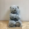 Gray plush teddy bear sitting upright with paws crossed