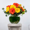 Bouquet of yellow and orange gerbera daisies in a glass vase