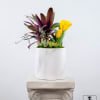 Yellow tulips and purple foliage in a white pot